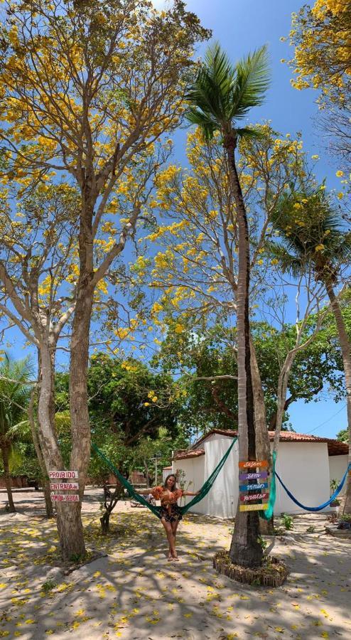 Pousada Paraiso Verao Жижока-ди-Жерикуакуара Экстерьер фото